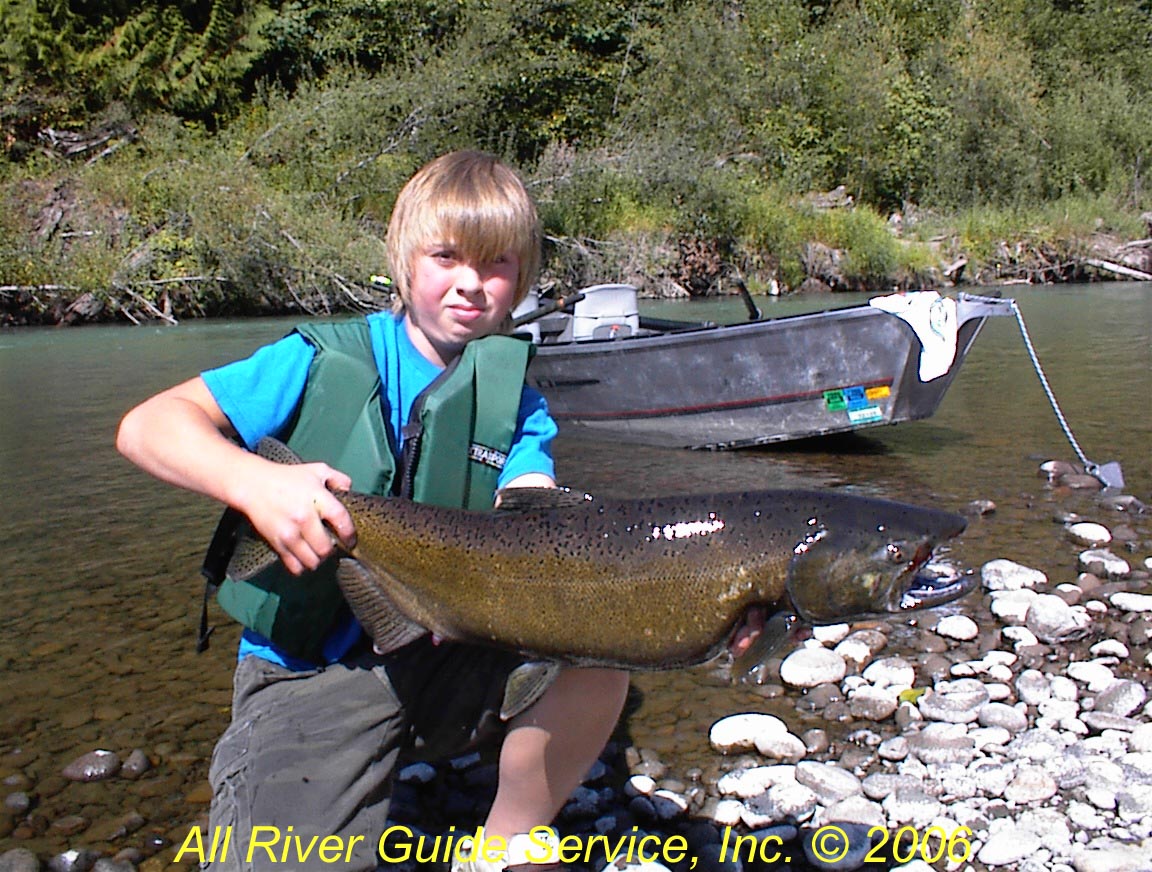 Nisqually River Chinook Salmon