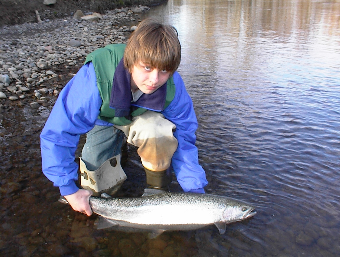 Spring 2008 Native Steelhead - Catch & Release