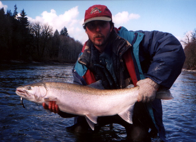 Sauk River Native Steelhead - Catch & Release