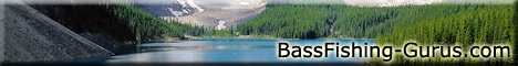 Bass Fishing Gurus is a comprehensive bass fishing site with tips, in-depth techniques, complete tackle including lures, weights, bobbers, hooks, reels and rods with lodge listings and fishing for kids. Over 500 pages of everything bass!