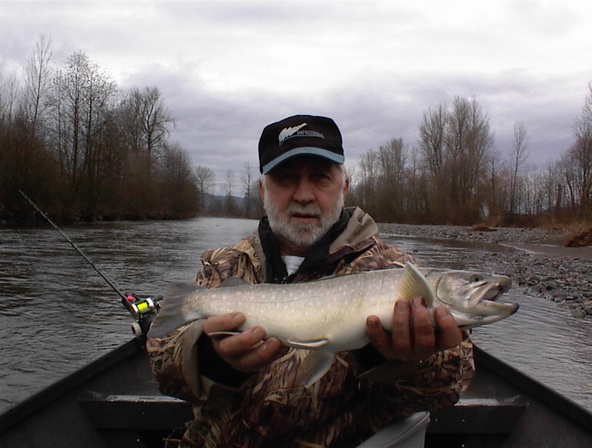Puyallup River Dolly Varden
