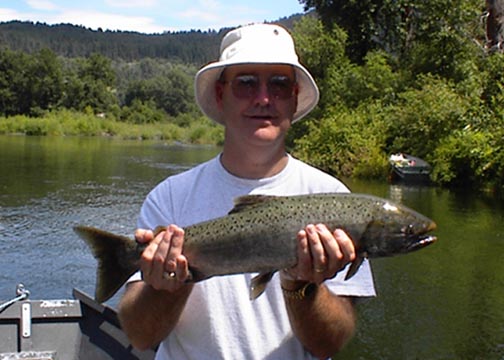 Icicle River Spring Chinook Salmon