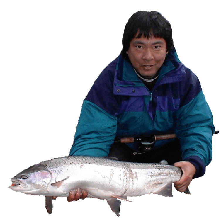 Satsop River Native Steelhead