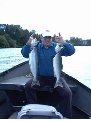 Skagit River Pink Salmon