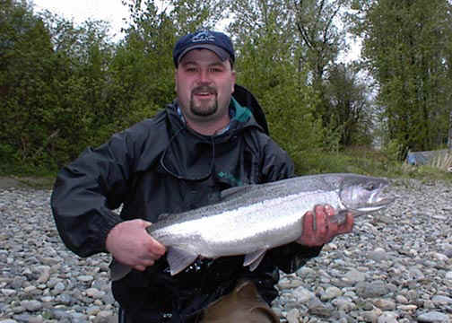 Skykomish River Native Steelhead - Catch & Release