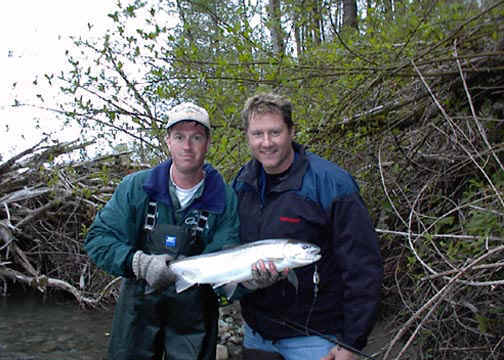Skykomish River Native Steelhead - Catch & Release